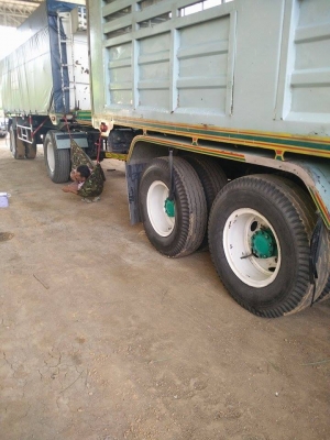 ร็อกกี้ 210 พร้อมลูก 2 คลาน