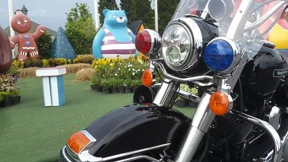 Harley Davidson Roadking Police