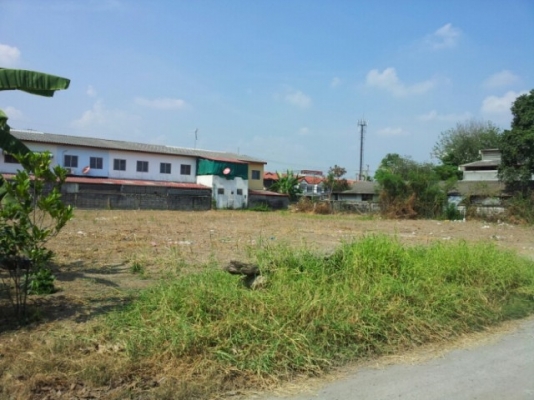 ขายที่ดิน 1 ไร่ ถมแล้ว ลำลูกกา เข้าทางซอยรวมสุข 1