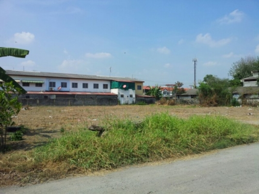 ขายที่ดิน 1 ไร่ ถมแล้ว ลำลูกกา เข้าทางซอยรวมสุข 1