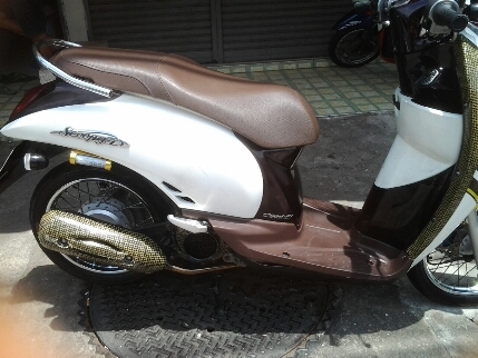 สกุบปี้ไอปี54