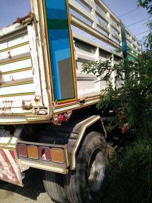 ไอ้หลง MA  พร้อมลูก 2 คลาน