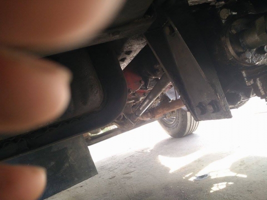 ไอ้หลง MA  พร้อมลูก 2 คลาน