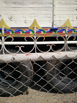 ไอ้หลง MA  พร้อมลูก 2 คลาน