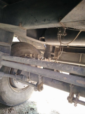 ไอ้หลง MA  พร้อมลูก 2 คลาน