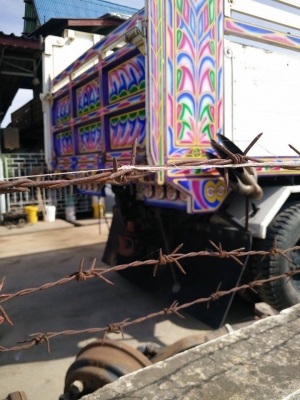 ไอ้หลง MA  พร้อมลูก 2 คลาน