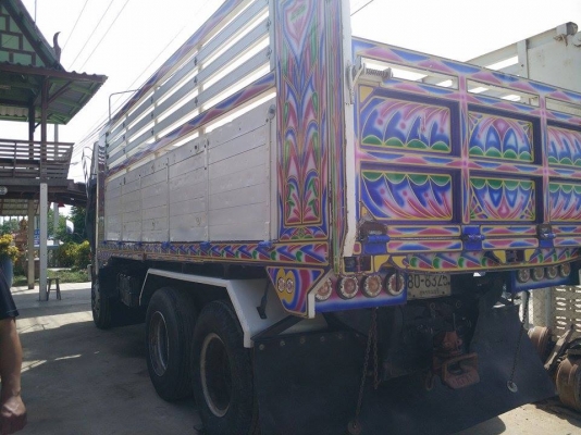 ไอ้หลง MA  พร้อมลูก 2 คลาน