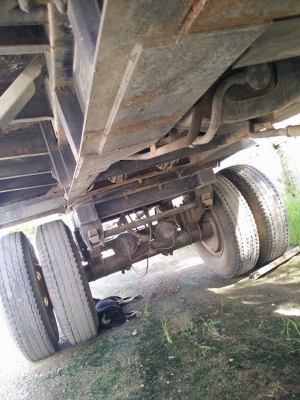 ไอ้หลง MA  พร้อมลูก 2 คลาน