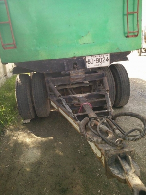 ไอ้หลง MA  พร้อมลูก 2 คลาน