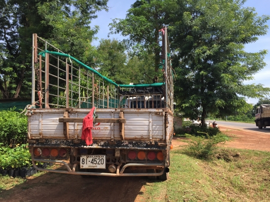 FD3HLAเครื่องHO7Dยาว6ม