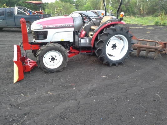 ขายครับนางฟ้าอ.บ้านหมี่ยันม่า352ราคาเบาๆ