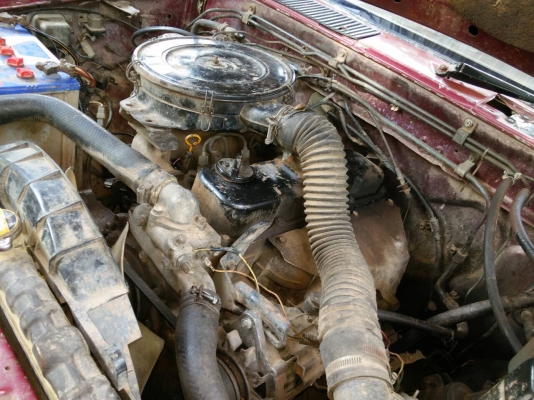 ขายนิสสัน บิ๊กเอ็มแคบเล็ก แซสซีสวย ขายนิสสัน บิ๊กเอ็มแคบเล็ก แซสซีสวย