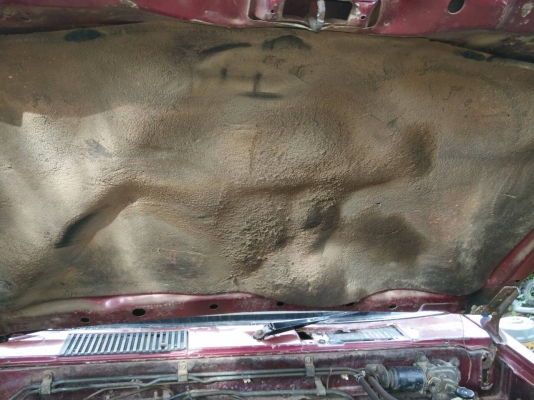 ขายนิสสัน บิ๊กเอ็มแคบเล็ก แซสซีสวย ขายนิสสัน บิ๊กเอ็มแคบเล็ก แซสซีสวย