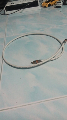 สายโคแอค