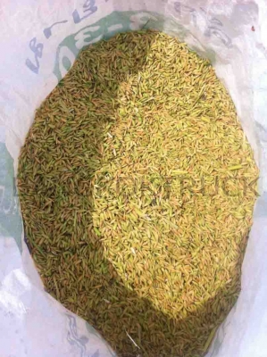 ขายรถเกี่ยวข้าวขนาดเล็ก ราคาถูก 089-5512032 ขายรถเกี่ยวข้าวขนาดเล็ก ราคาถูก 089-5512032