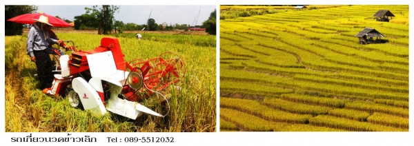 ขายรถเกี่ยวข้าวขนาดเล็ก ราคาถูก 089-5512032