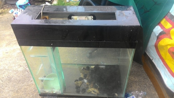 ขายถูก ตู้ปลามือสอง900 บาท