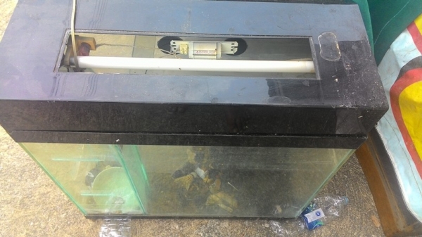 ขายถูก ตู้ปลามือสอง900 บาท