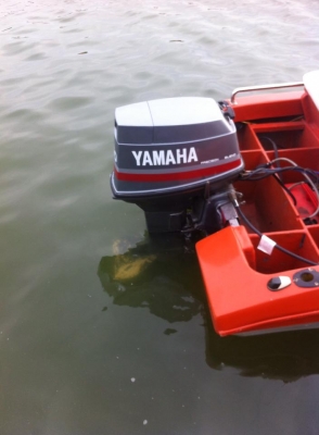 ขายเรือเร็วไฟเบอร์ 14 ฟุต เครื่องyamaha 50 ขายเรือเร็วไฟเบอร์ 14 ฟุต เครื่องyamaha 50