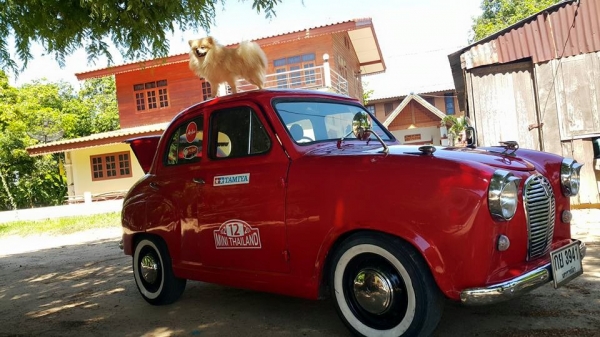 Austin A30s ทะเบียนแท้ Austin A30s ทะเบียนแท้