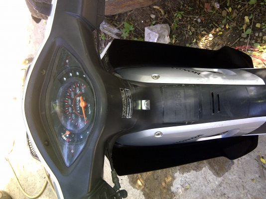 ขายฮอนด้าเวฟ100