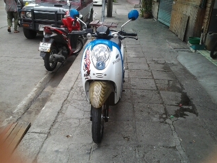 สกุบปี้ไอปี55