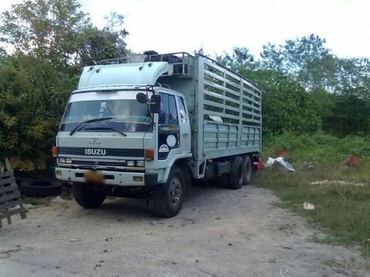 รถอิซูซุ  10 ล้อ รั่ว  FVM 195 แรงม้า   สนใจติดต่อ 081 - 6079515