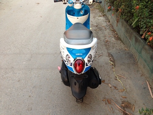 ขายfinoสีฟ้าขาวปี2555