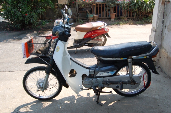 ขายดรีมคุรุ ทะเบียน-โอน ขายดรีมคุรุ ทะเบียน-โอน