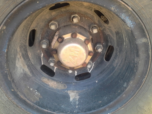 ลูกพวงดั้มสวย