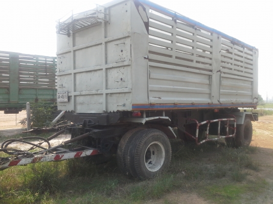 ลูกพวงดั้มสวย