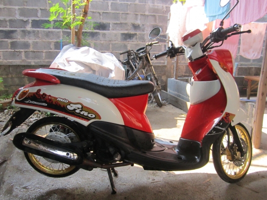 ฟีโน่ ปี 51 เดืมๆ