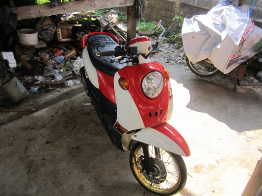 ฟีโน่ ปี 51 เดืมๆ