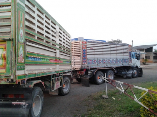 MITSUBISHI FUSO FN627 - 260 HP M6 ปี 54 สิบล้อดั๊มพ์ 2 เพลา สภาพสวยจัด กระบะดั๊มพ์มิเนียมคอกเกษตร 12 ตันสภาพดี เครื่องแห้งแรงดี มีระบบลากพ่วงครบพร้อมใช้งาน ภายในคอนโซลสวยครบ เครื่องเสียง แอร์ พวงมาลัยเพาเวอร์ ระบบไฟฟ้าทั้งคัน ช่วงล่างเบรคทริ๊ปฟี้ คัชซีสวย MITSUBISHI FUSO FN627 - 260 HP M6 ปี 54 สิบล้อดั๊มพ์ 2 เพลา สภาพสวยจัด กระบะดั๊มพ์มิเนียมคอกเกษตร 12 ตันสภาพดี เครื่องแห้งแรงดี มีระบบลากพ่วงครบพร้อมใช้งาน ภายในคอนโซลสวยครบ เครื่องเสียง แอร์ พวงมาลัยเพาเวอร์ ระบบไฟฟ้าทั้งคัน ช่วงล่างเบรคทริ๊ปฟี้ คัชซีสวย