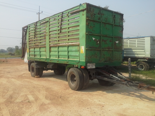 ลูกพวงไม่ดั้มสวย