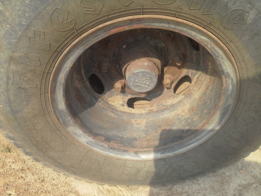 ลูกพวงไม่ดั้มสวย ลูกพวงไม่ดั้มสวย