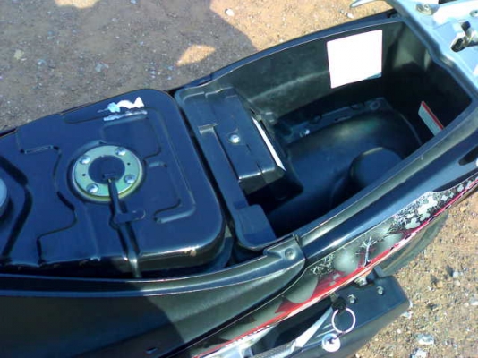 สเตปปี51