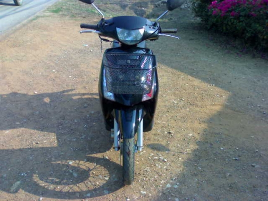 สเตปปี51