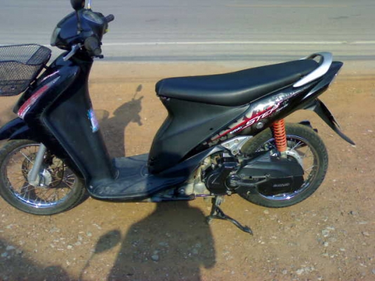 สเตปปี51