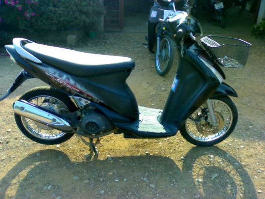 สเตปปี51