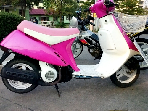 ขายน้องป๊อปราคา 5,900 บาท เครื่องแรง พุ่งดี ไม่มีควัน 085-1518956 จ้า