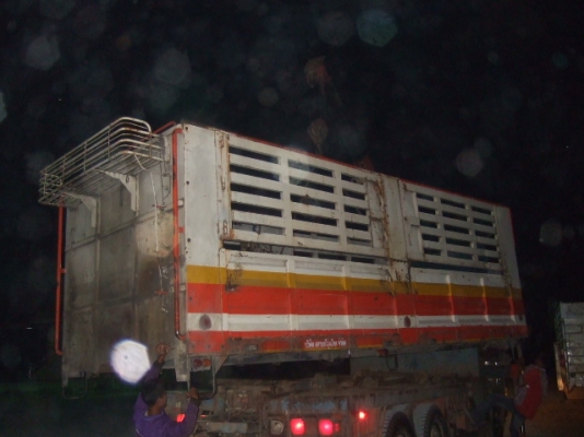 ขายกระบะไม่ดั๊มพ์