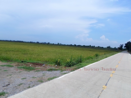 ที่นาสวย ห่าง สน.ประชาสำราญ ตลาดหนองจอก กทม. ที่นาสวย ห่าง สน.ประชาสำราญ ตลาดหนองจอก กทม.