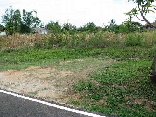 ขายที่ดินเปล่า