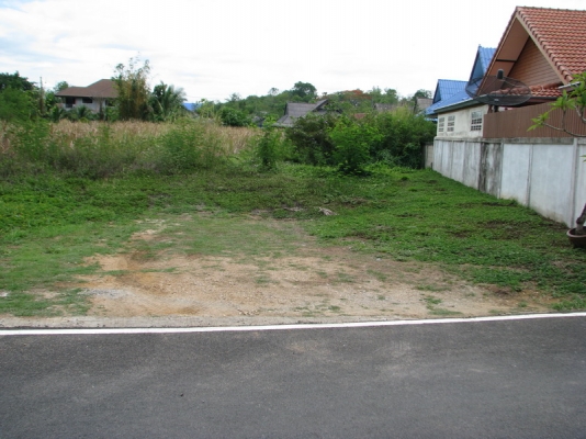 ขายที่ดินเปล่า