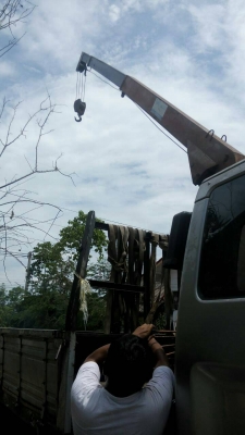 ขายหกลัอ อีซูซุ FRR175แรง เครน ทานาโด 3ตัน สภาพดีพรัอมใชังาน รถช่วงยาว 7.20ม ทะเบียนพรัอมโอน