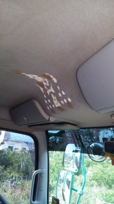 ขายสิบล้อเมก้า 251  ดั๊มสามมิตร 2 เพลา  ปี 53  ยางดี คัทซีสวย ภายในสวย ครบ แอร์เย็น