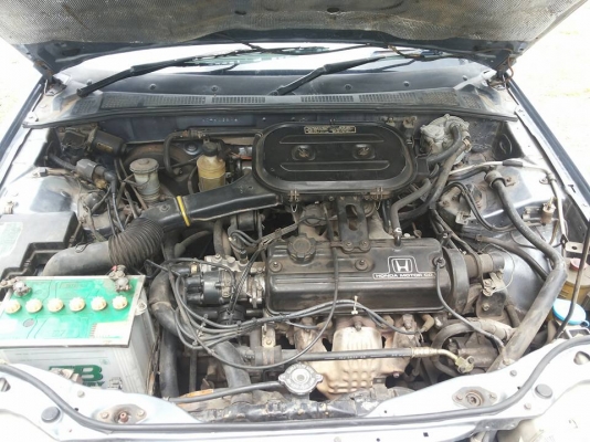 ขาย honda accord