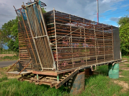 เหลือกระบะเทลเลอร์  กรงเป็ดขายแล้ว... ราคาว่ามา