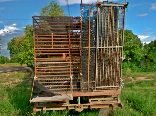 เหลือกระบะเทลเลอร์  กรงเป็ดขายแล้ว... ราคาว่ามา